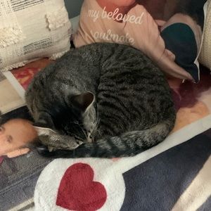 Meet your Posher, Diana